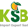 KSB IMPORT EXPORT SARL