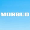 MORBUD