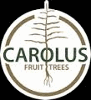 CAROLUS TREES