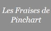 LES FRAISES DE PINCHART