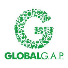 Certificado GLOBAL G.A.P