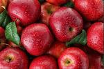 Groothandel in verse appels