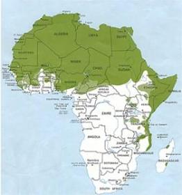 Vertaling naar Afrikaanse talen