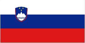 Vertaaldienst in Slovenië
