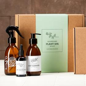 HOUSE PLANT SPA | PLANT CLEAN & PROTECT KIT